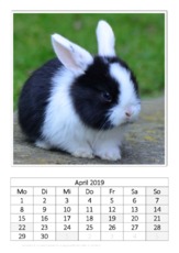 April_Kaninchen_1.pdf